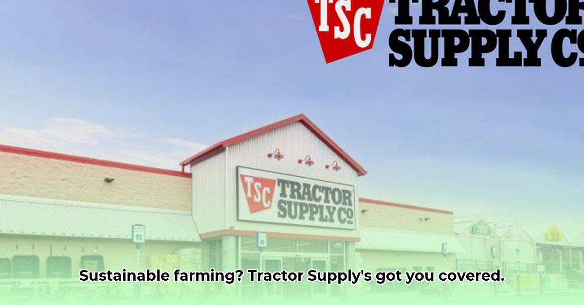 tractor-supply-blue-ridge-ga